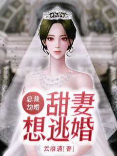 总裁劫婚：甜妻想逃婚小说完整版资源免费试读