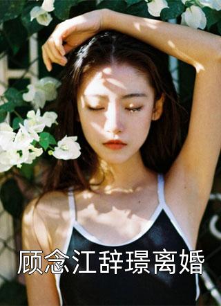 《顾念江辞璟离婚》完结小说(全文在线阅读)