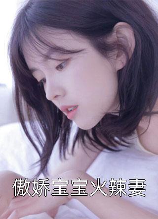 爆款小说傲娇宝宝火辣妻全文免费阅读