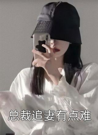 小酒窝写的小说总裁追妻有点难小说全文阅读