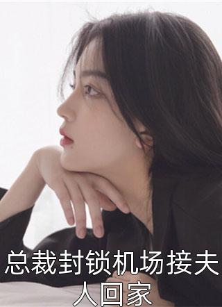 《总裁封锁机场接夫人回家》小说完整章节总裁封锁机场接夫人回家免费阅读