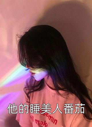 他的睡美人番茄公子凉夜小说免费阅读