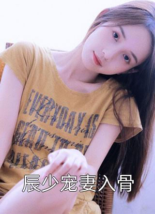 最新小说辰少宠妻入骨免费阅读