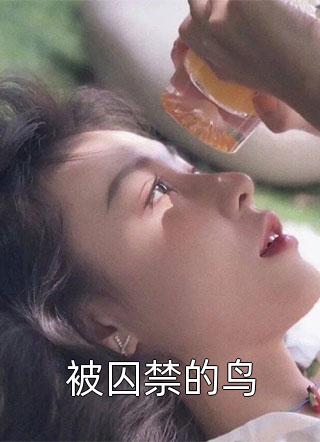 好看的被囚禁的鸟小说_被囚禁的鸟最新章节阅读