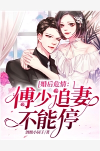 婚后危情：傅少追妻不能停酒酿小园子小说（完整版）阅读