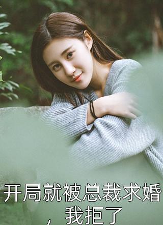 最新小说开局就被总裁求婚，我拒了免费阅读