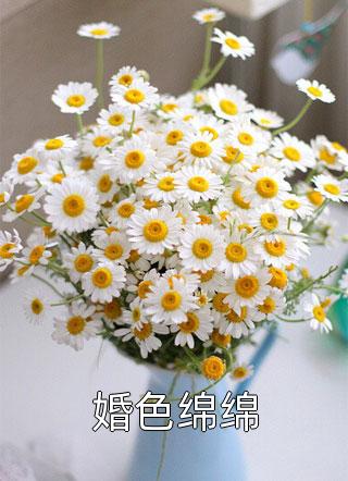 婚色绵绵精彩小说(绯音音)全章节阅读