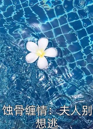 蚀骨缠情：夫人别想逃火月星河最新小说全文阅读