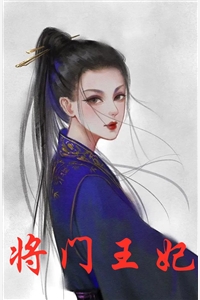 将门王妃