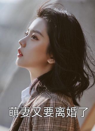 萌妻又要离婚了免费小说一树南瓜全文阅读