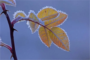 嗦口可乐，然后我就变身？小说_(王茗烟柳无牙)最新章节在线阅读