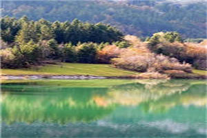 顾岁岁秦辞灵小说《顾岁岁秦辞灵》在线全文阅读