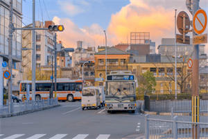 反派奶团四岁半,七个大佬哥哥排队宠免费阅读，霍池池霍清山全文在线阅读