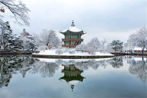 棠雪荼邺北寒免费小说_棠雪荼邺北寒(棠雪荼邺北寒小说)大结局阅读