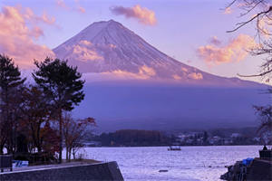 岑旎顾景屿（岑旎顾景屿知乎）小说全文阅读_岑旎顾景屿最新章节免费阅读