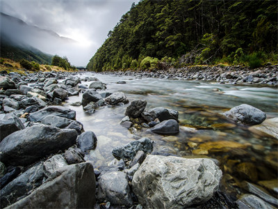 沈知初厉景深我不想再爱你小说在线阅读-沈知初厉景深我不想再爱你全文免费阅读