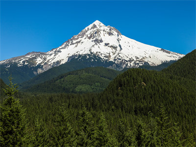 复苏山庄(周樾央央)小说免费阅读_复苏山庄全文全章节在线阅读