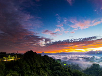 精选热门小说重回七零，攻略恶霸当首富（沈清歌薄庭），沈清歌薄庭全文今日更新在线阅读