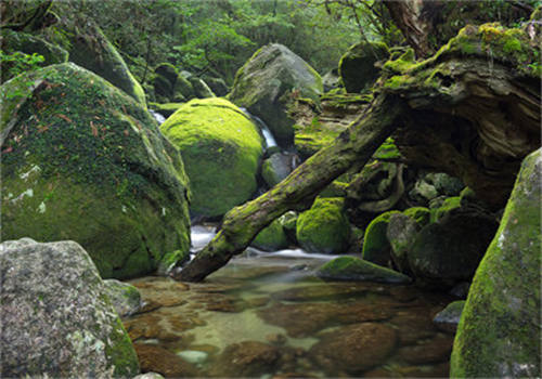 周祈川陆未曦全文免费阅读-主角是周祈川陆未曦的小说