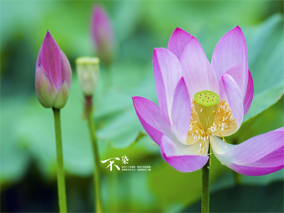 沈薇陆南风（沈薇陆南风）小说全文免费阅读-沈薇陆南风在线阅读的小说完整版