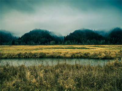 谢玉萝岳凌霄（谢玉萝岳凌霄）大结局免费阅读-谢玉萝岳凌霄全文小说