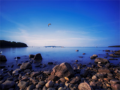 阮夏时景遇（阮夏时景遇小说）全文免费阅读-阮夏时景遇最新章节列表阅读