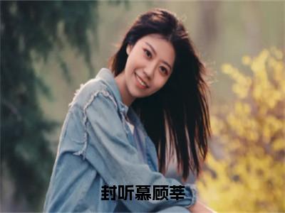 顾莘封听慕（封听慕顾莘）全文免费阅读无弹窗大结局_封听慕顾莘全文在线阅读