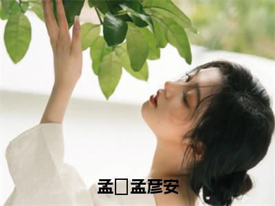 孟彦安孟枂全文免费阅读大结局孟枂孟彦安最新章节列表（全文）+（番外）