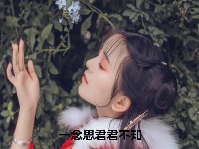 一念思君君不知（沈念秋萧云成）小说全文免费_一念思君君不知（沈念秋萧云成）最新章节目录笔趣阁