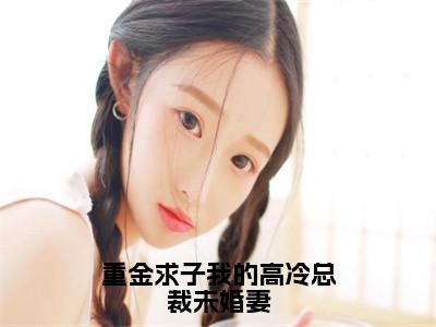 重金求子我的高冷总裁未婚妻秦霄全文完整版-秦霄小说在线阅读