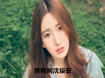 林婉婉沈绥安最新章节-（沈绥安林婉婉）林婉婉沈绥安全文在线阅读无弹窗