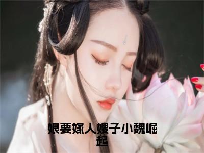 魏淑清赵大虎（娘要嫁人嫂子小魏崛起）全文无弹窗大结局_魏淑清赵大虎小说最新章节列表