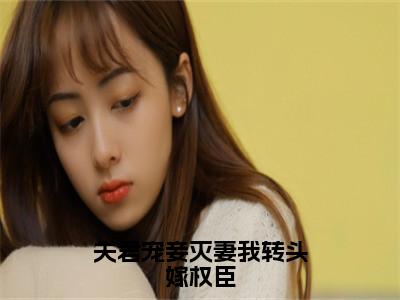 夫君宠妾灭妻我转头嫁权臣在线阅读全文免费阅读无弹窗大结局_沈琼芝孙鸿渐最新章节列表_笔趣阁