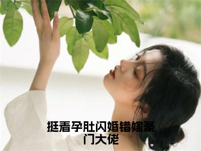 挺着孕肚闪婚错嫁豪门大佬（宋雪薇陆铭轩）全文免费阅读无弹窗大结局_挺着孕肚闪婚错嫁豪门大佬免费最新章节列表_笔趣阁