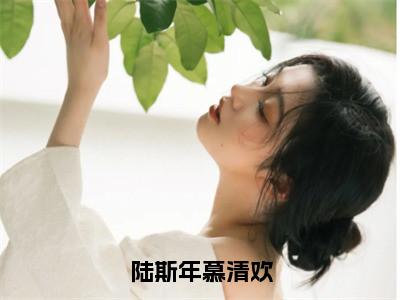 陆斯年慕清欢（陆斯年慕清欢）全文免费阅读无弹窗大结局_陆斯年慕清欢全文免费阅读最新章节列表_笔趣阁