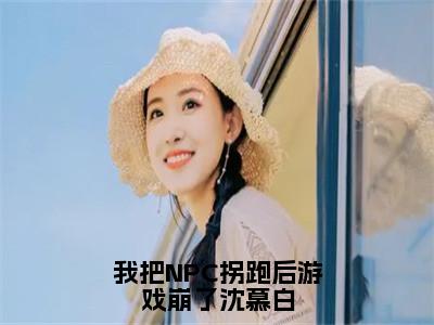 我把NPC拐跑后游戏崩了沈慕白苏意沈慕白免费阅读大结局无弹窗-我把NPC拐跑后游戏崩了沈慕白小说推荐苏意沈慕白精彩章节在线阅读