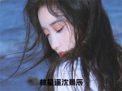 沈景辰林星遥（林星遥沈景辰）在线阅读小说全文无删减-林星遥沈景辰小说大结局