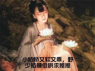 （陶野苏缈番外+免费）小娇娇又软又乖，野少掐腰低哄求抱抱小说主角叫什么-陶野苏缈全文免费阅读大结局