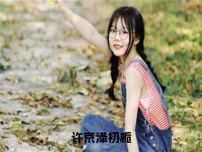 许京泽初栀（初栀许京泽）全文免费阅读无弹窗无删减_小说（许京泽初栀）初栀许京泽最新章节列表笔趣阁