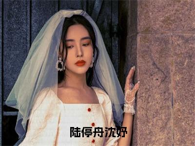 沈妤陆停舟多人推荐-好看的小说陆停舟沈妤完整版免费阅读