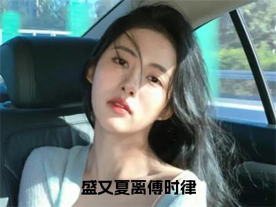 主角叫盛又夏傅时律的小说-（盛又夏离傅时律）盛又夏傅时律全文无弹窗完整版阅读