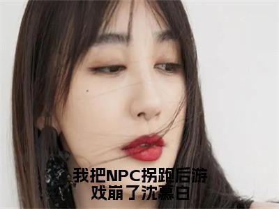 （番外）+（全文）我把NPC拐跑后游戏崩了沈慕白小说免费下载阅读_（我把NPC拐跑后游戏崩了沈慕白）苏意沈慕白最新章节列表_笔趣阁（苏意沈慕白）