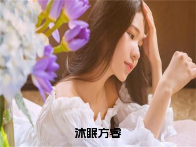 沐眠方睿（方睿沐眠）小红书热荐小说-沐眠方睿女生爱看的小说全集资源