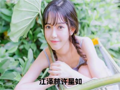 许星如江泽林（江泽林许星如）全文免费阅读无弹窗大结局_许星如江泽林免费最新章节列表_笔趣阁