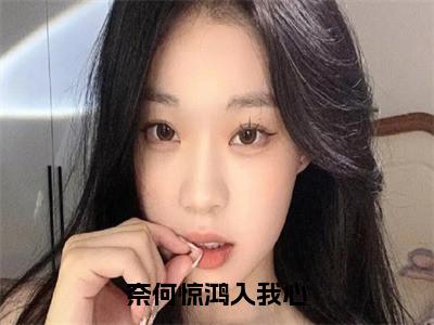 奈何惊鸿入我心小说（祈淮楼嫣）全文免费阅读无弹窗大结局_奈何惊鸿入我心小说免费阅读最新章节列表笔趣阁（祈淮楼嫣）