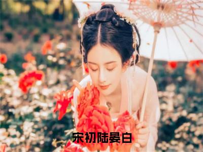 宋初陆晏白（陆晏白宋初）全文免费阅读无弹窗大结局_宋初陆晏白最新章节列表_笔趣阁（陆晏白宋初）