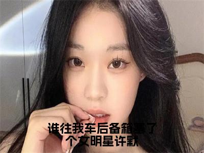 许默（谁往我车后备箱塞了个女明星许默）全文在线免费阅读无弹窗_许默最新章节列表_笔趣阁