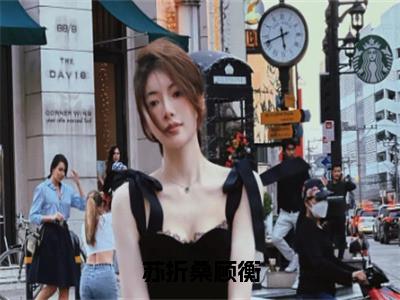 苏折桑顾衡（顾衡苏折桑）全文免费阅读无弹窗大结局-苏折桑顾衡最新章节列表-笔趣阁