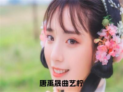 唐禹晟曲艺柠（曲艺柠唐禹晟）小说全文免费阅读无弹窗_（曲艺柠唐禹晟）最新章节列表_笔趣阁