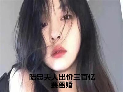 陆总夫人出价三百亿要离婚（沈倾心陆霆御）全章节完整版免费小说_陆总夫人出价三百亿要离婚最新章节在线阅读_笔趣阁